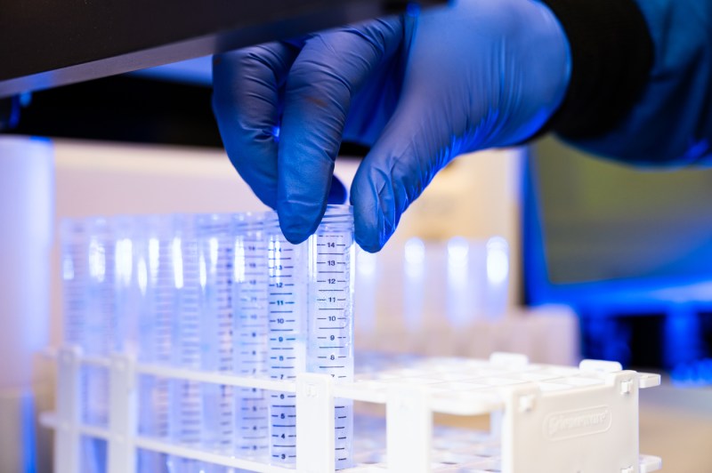 A hand wearing a latex glove pinches the top of a narrow test tube in a row with other test tubes.
