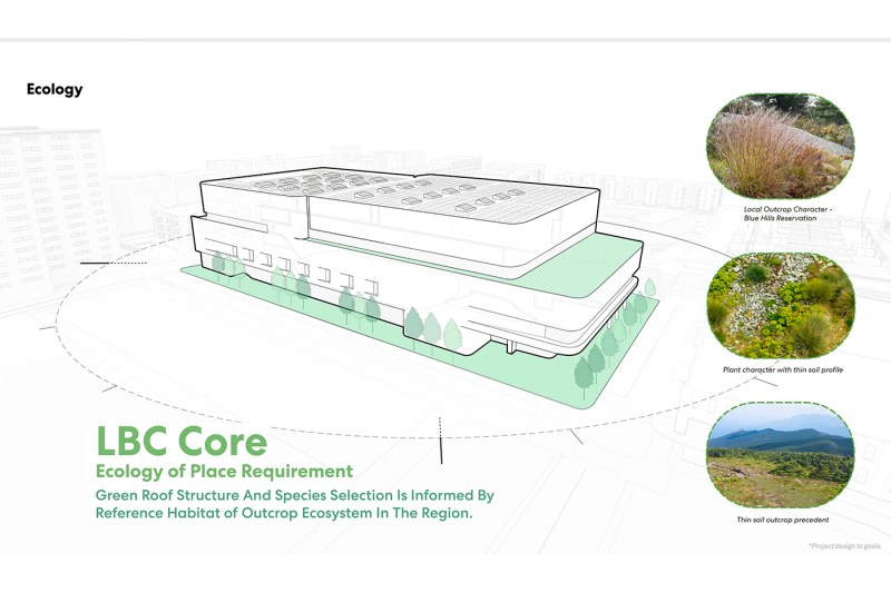 Ecology features of Northeastern's sustainable multi-purpose athletics complex illustrated through an architectural rendering. The diagram shows the building's green roof and native landscape design, with three circular detail photos: native drought-tolerant grasses, a rain garden with native wetland plants, and the Middlesex Fells natural landscape that inspired the plant selection. Text indicates LBC Core Ecology of Place Requirement with green roof structure and species selection informed by indigenous habitats of Greater Boston bioregion in the Anthropocene.