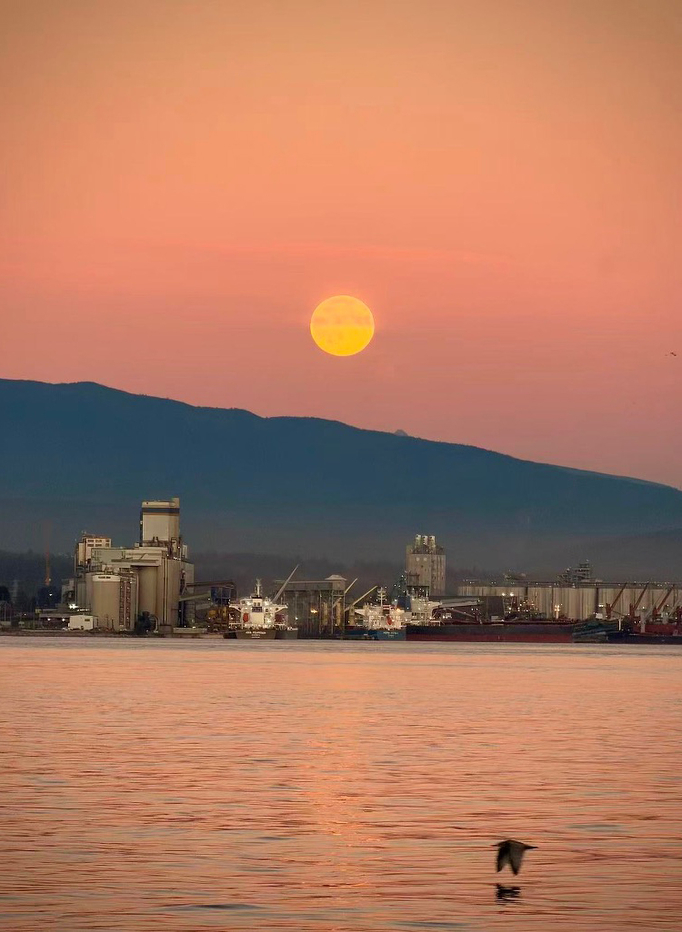 A full yellow moon rises over the hilly horizon in the background and water on the foreground. Pink sky reflects in the water. There are some ships and loading facilities in the middle ground and a bird flying over the water in the right bottom corner of the image.