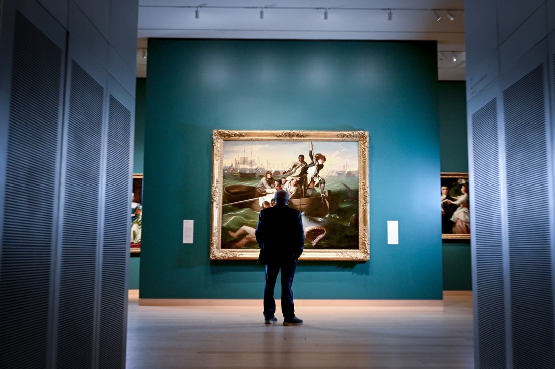 Landsmark stands with his back to the camera, centered in a museum gallery, looking at the painting “Watson and the Shark,” which hangs on a teal wall in an ornate gold frame.