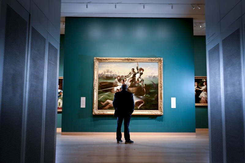 A photo from behind a man standing and observing a large painting.