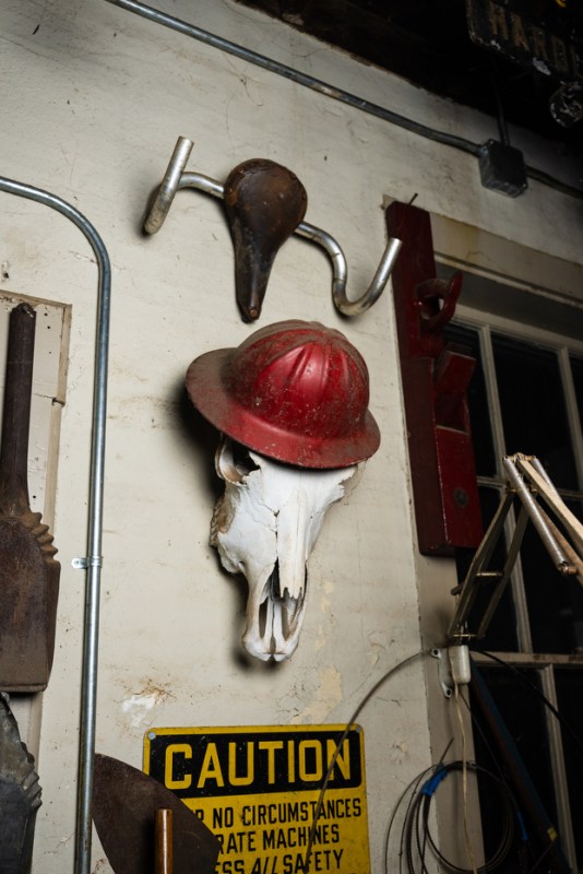 A dried cow skull with a red helmet hangs on the wall of Michael Ulman's studio.