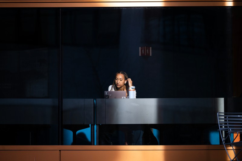 A student sitting with a laptop in Snell library is illuminated by sunlight.