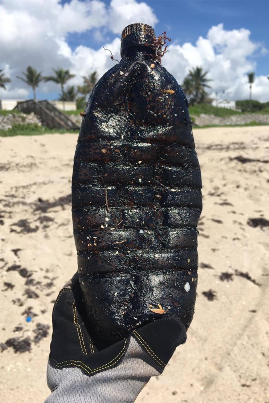 A water bottle stained black by oil, held up against a beach's tan sands with blue sky, clouds, and palm trees in the background.