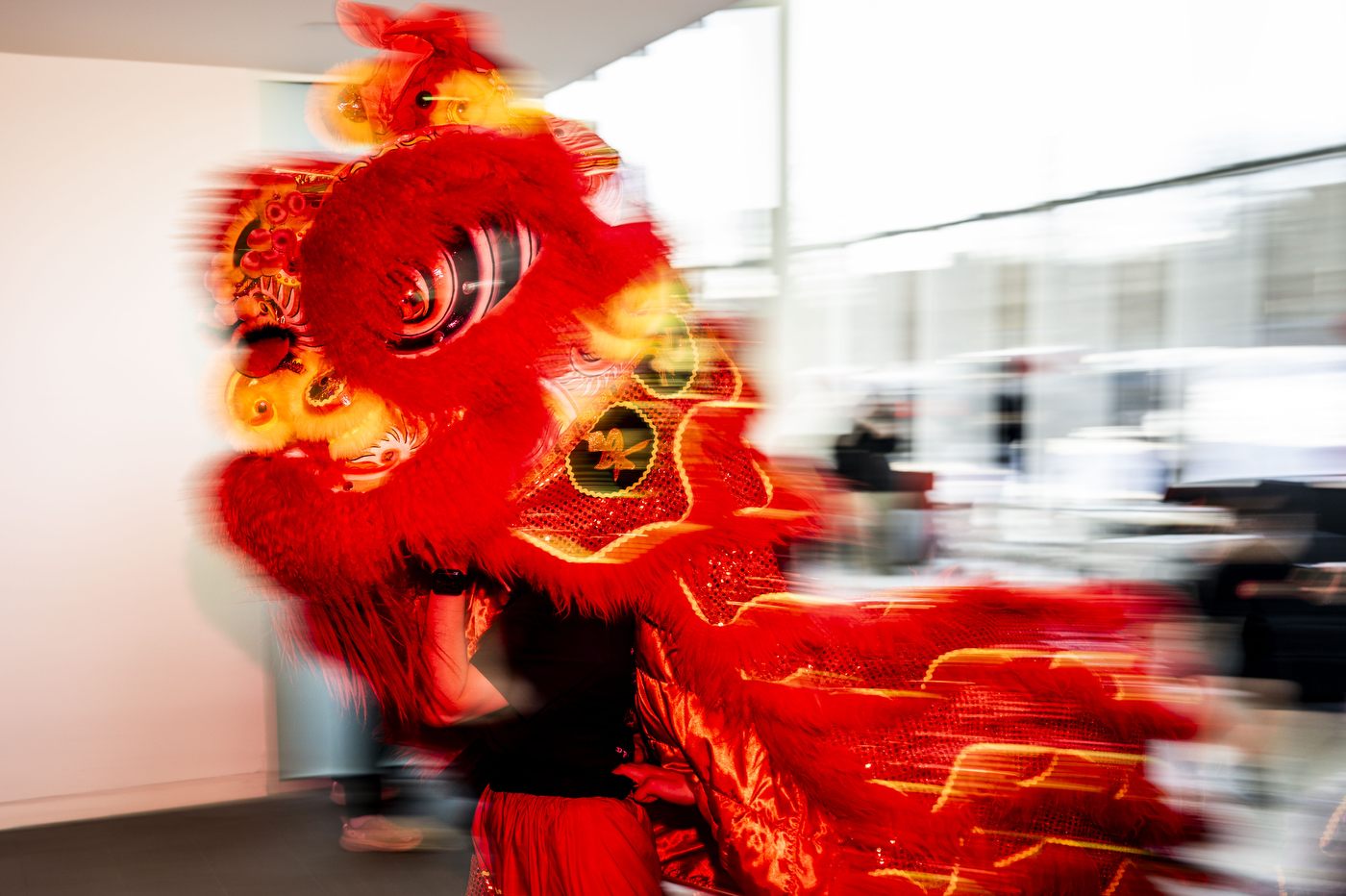 Students controlling a massive puppet perform for a Lunar New Year celebration. 
