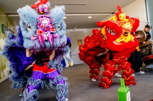 Two performers in elaborate traditional Chinese costumes—a blue and pink dragon on the left and a vibrant red and gold lion on the right—perform side by side in an indoor setting with decorative pom-pom-like tassels and ornate facial features.