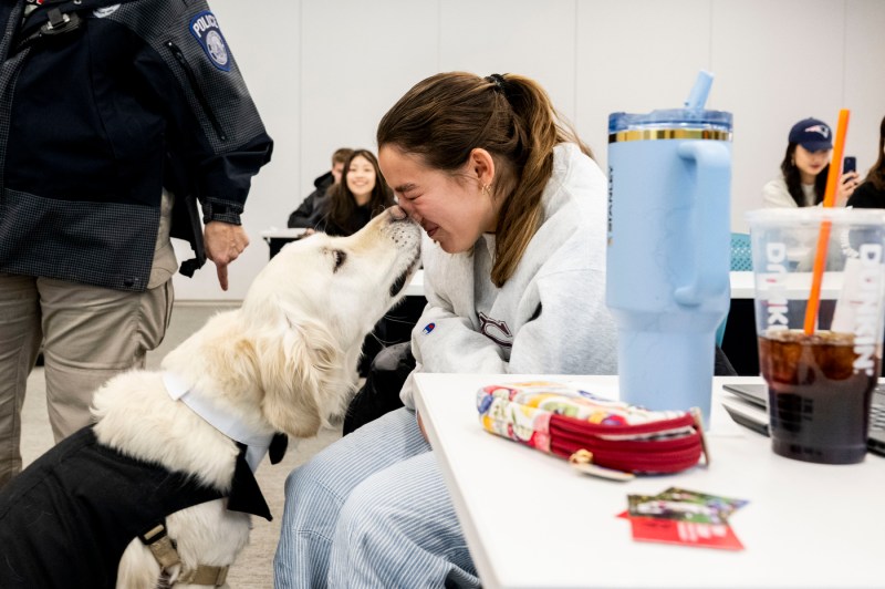 A campus dog licks a student's face inside a classroom. 