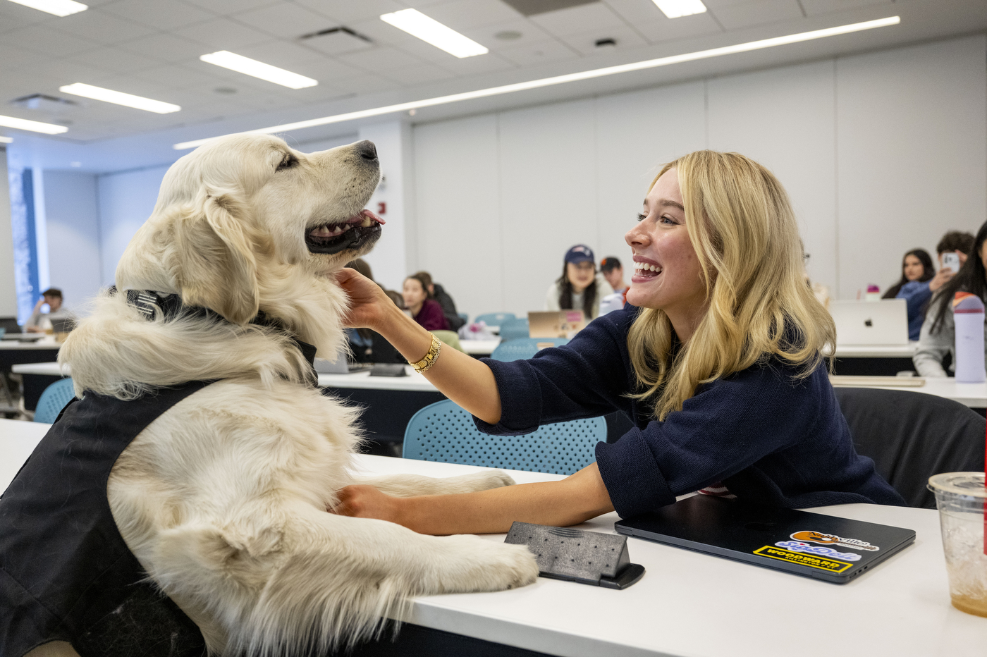 A student pets a campus dog, who is wearing a tuxedo collar, inside a classroom. 