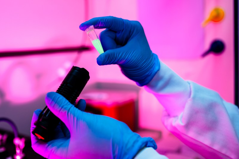 A person's hand holds a test tube.