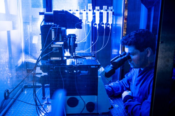Someone in a blue lab coat sits at a microscope.