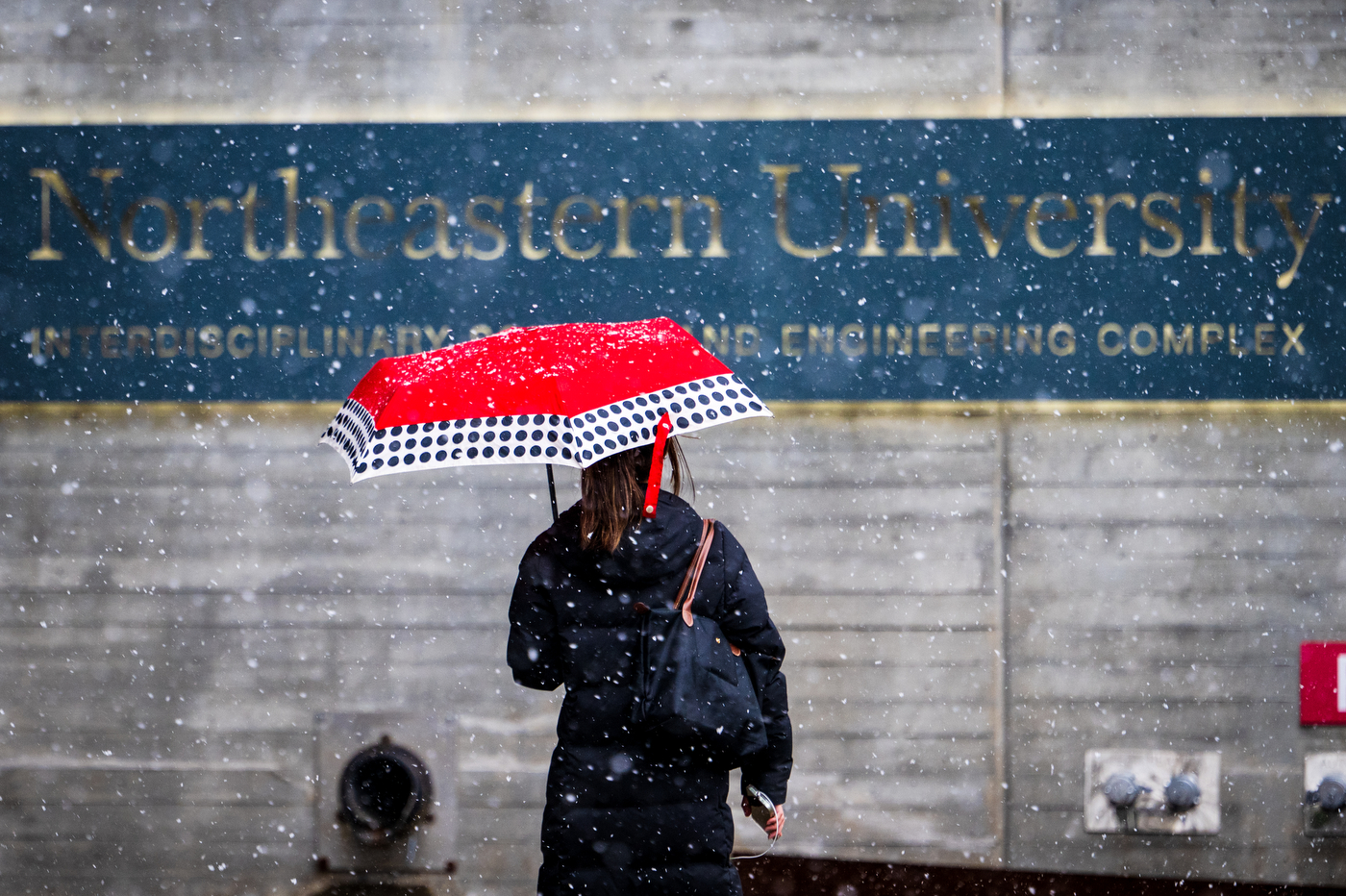 A person backing the camera holds a bright red umbrella while walking through snow. Behind them is a Northeastern University building sign.
