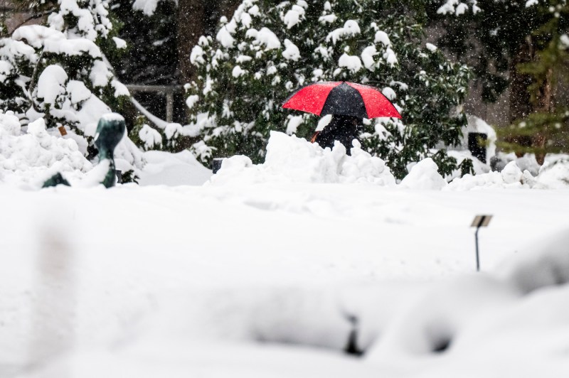 A person holding a black and red umbrella walks through tall piles of snow.