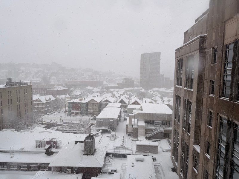 A snowy urban neighborhood viewed from above, with rooftops and streets covered in fresh snow, low visibility from falling snow, and tall apartment buildings in the background.