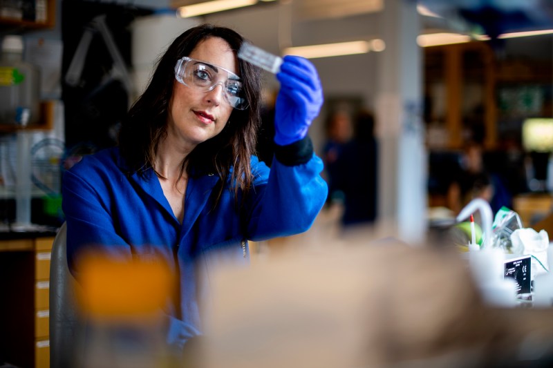 Rebecca Shansky, in a blue lab coat and goggles, holds a sample up to the light.
