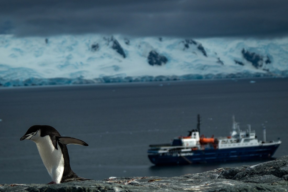 A single penguin on a cliff near the water's edge, with a research vessel floating in the background offshore and ice-covered mountains in the distance.