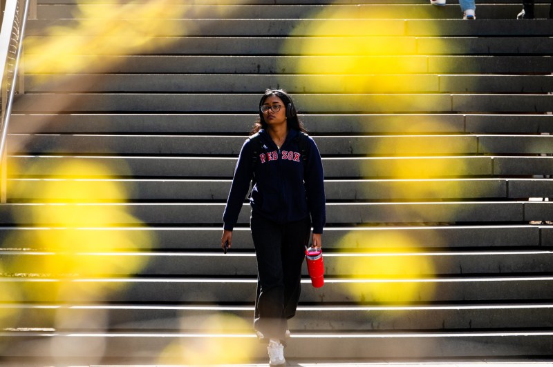 A student framed by out-of-focus yellow flowers descends stairs on campus.