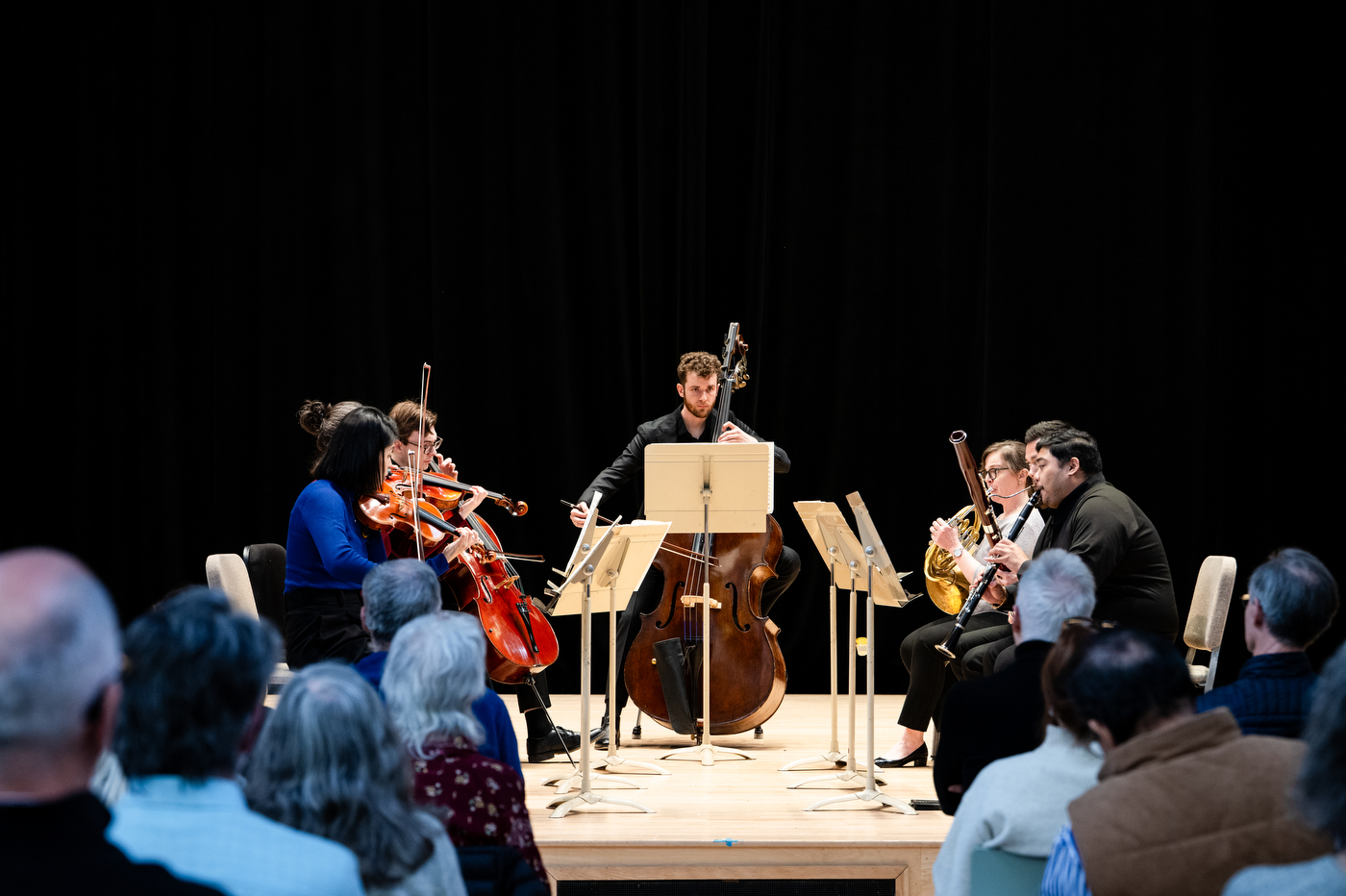 A chamber crowd in the foreground watches a chamber concert of seven musicians perform on a stage. The performers play the violin, viola, double bass, french horn, bassoon and clarinet.