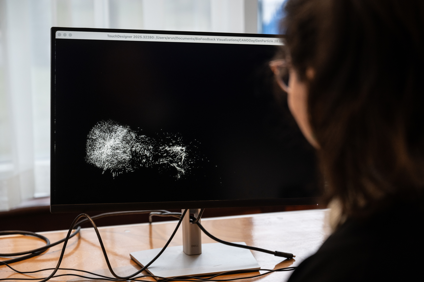 An over the shoulder view of a person facing a computer monitor.