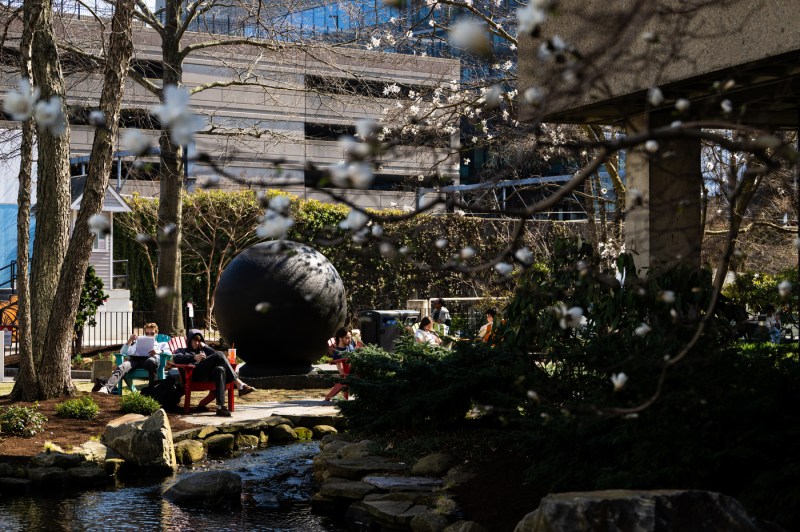 Wide shot of students sitting and working by the Koi Pond, surrounded by blooming spring trees on Northeastern's Boston campus.