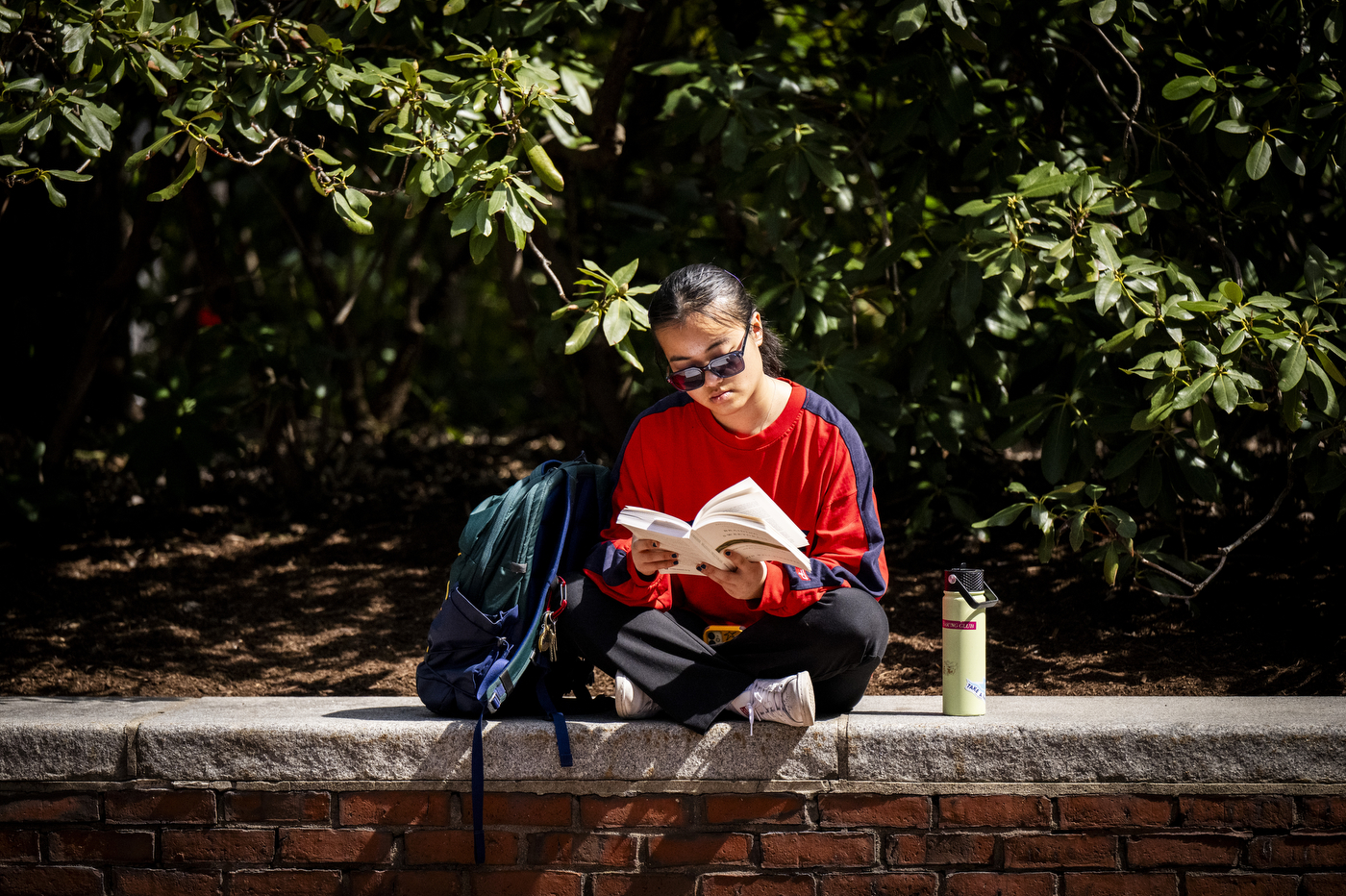 : A student wearing sunglasses and a red sweatshirt sits cross-legged on the ground reading a book, with a backpack and water bottle and lush green shrubs in the background.
