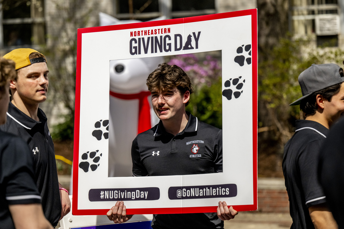 A person wearing a Northeastern branded polo shirt poses inside a Giving Day photo frame with paw prints on it. 