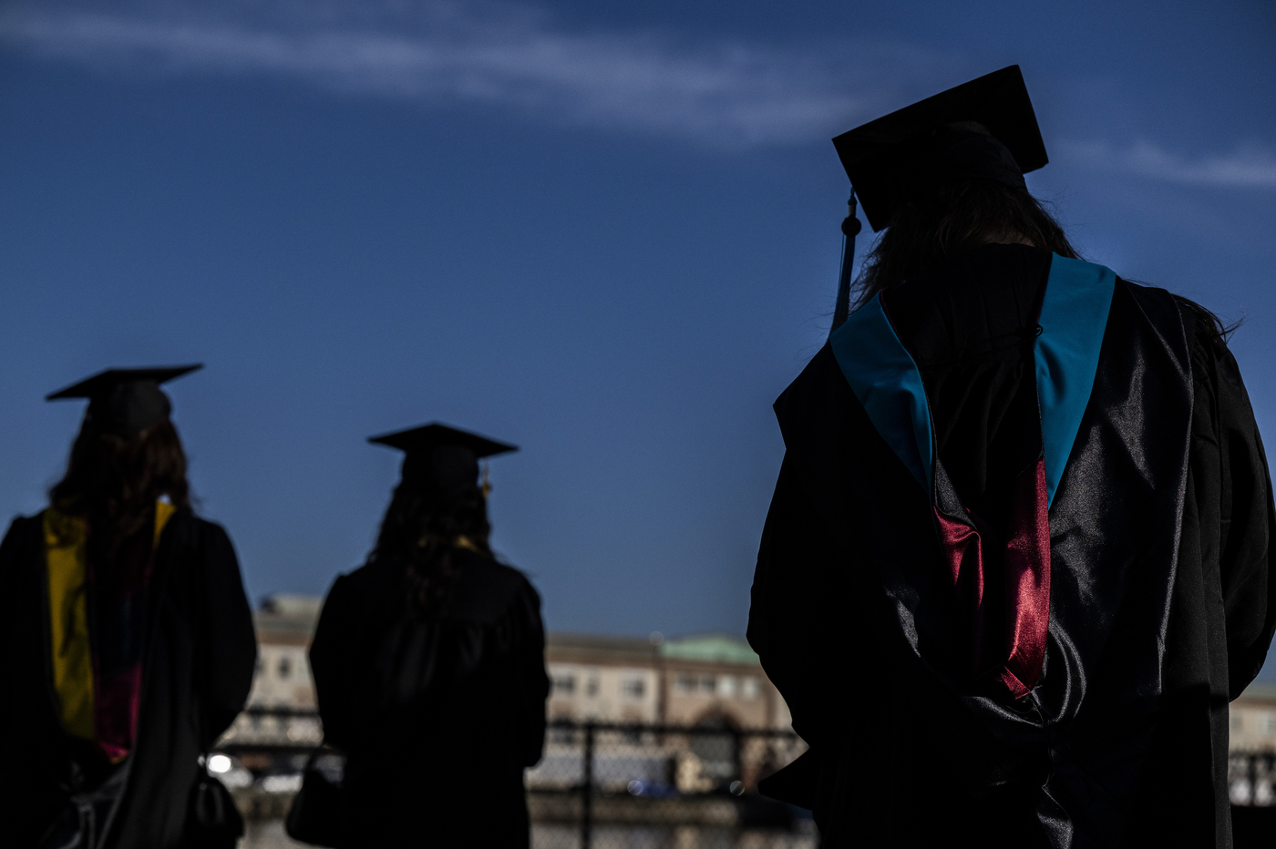 Three graduates in caps and gowns back the camera.