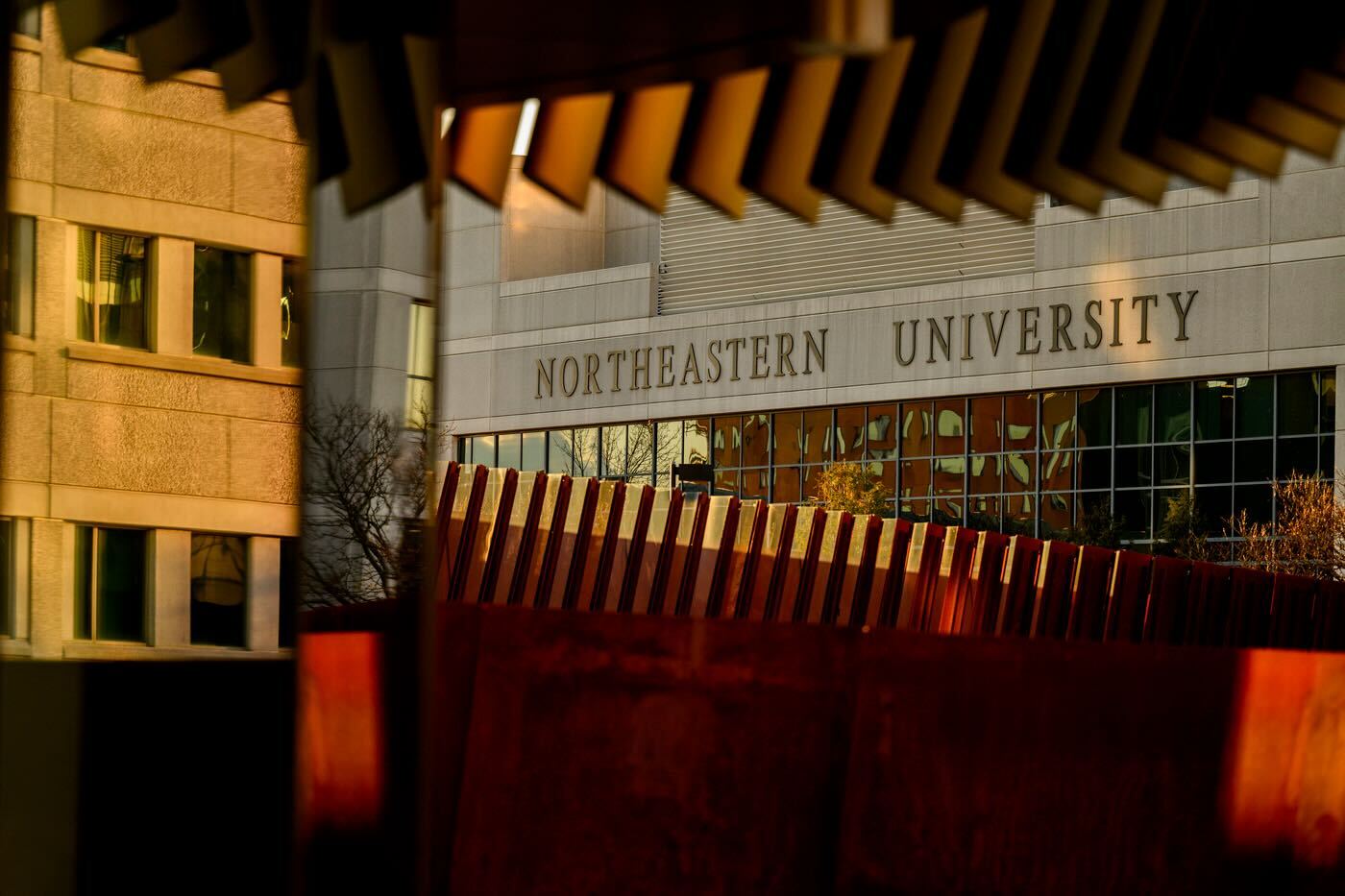Celebrate Northeastern’s accomplished community