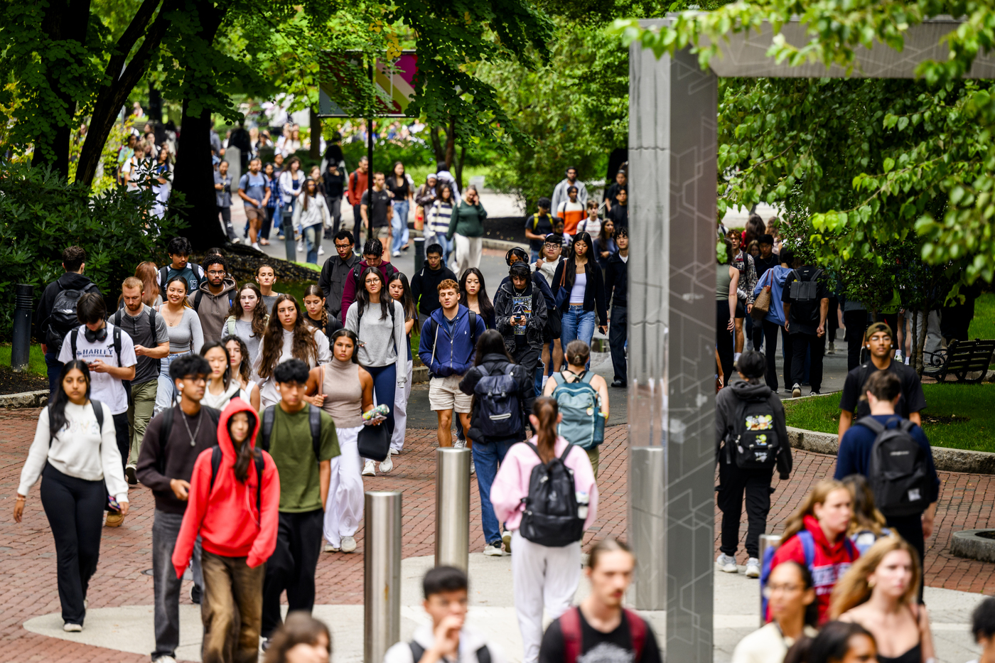 Northeastern police chief offers assurance after incidents near campus