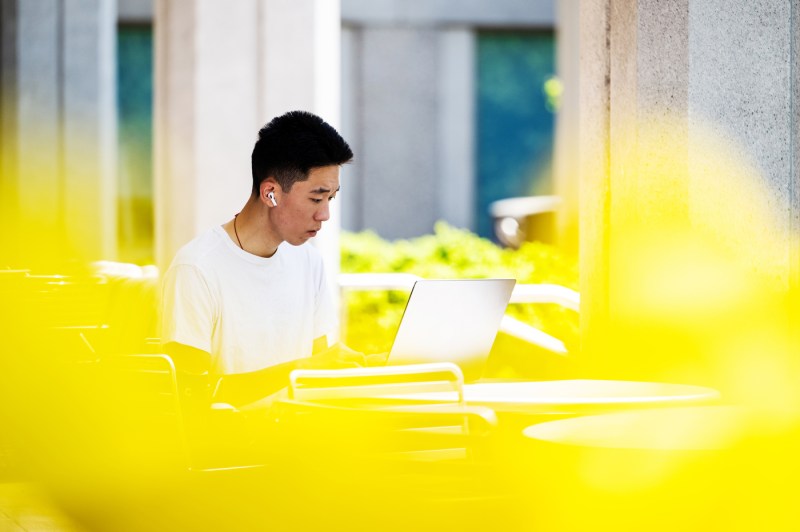 A student using a laptop sits at a table outside during a bright, sunny day, with a yellow camera affect adding blurs to the foreground.