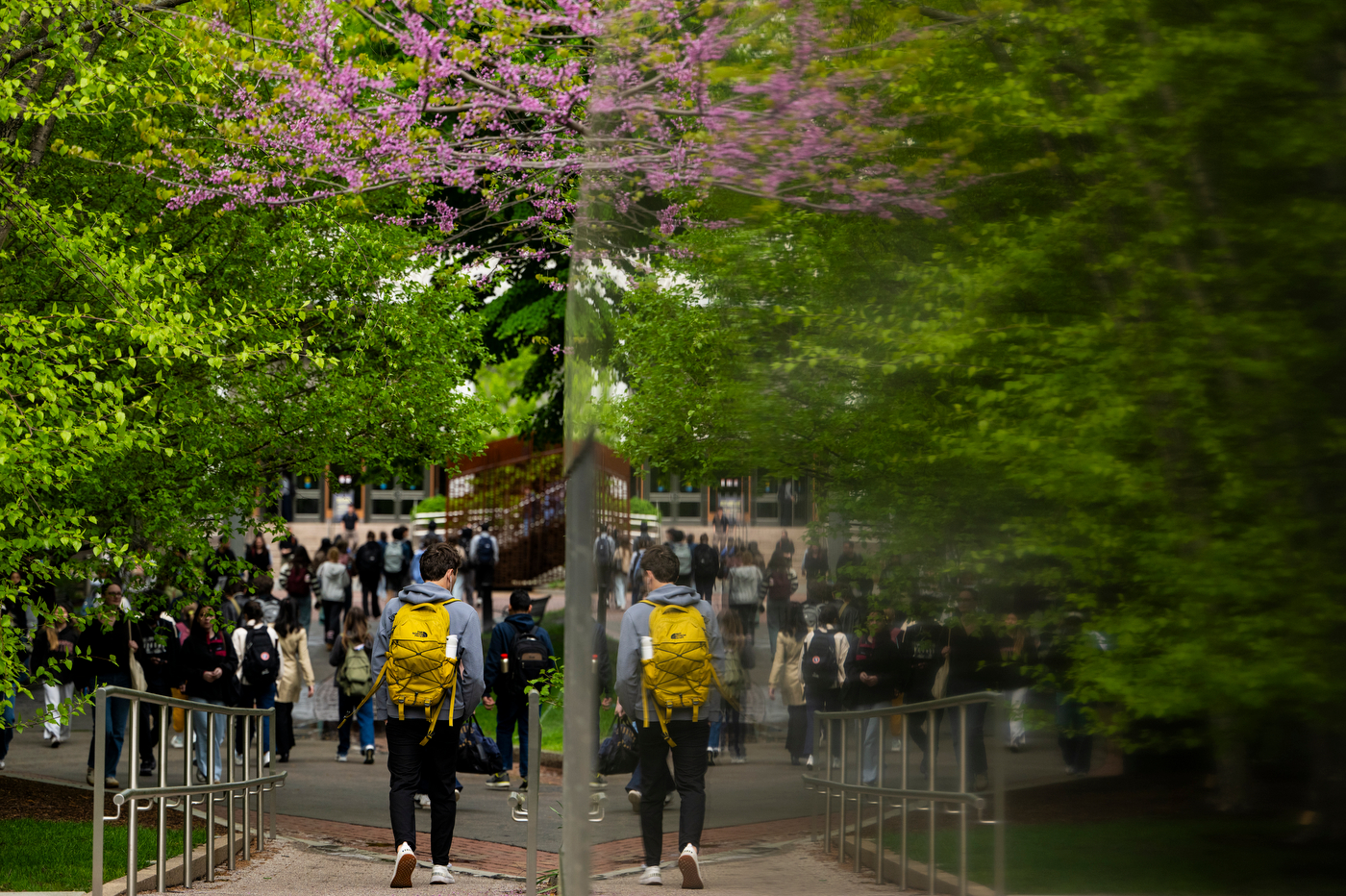 Blooms and backpacks