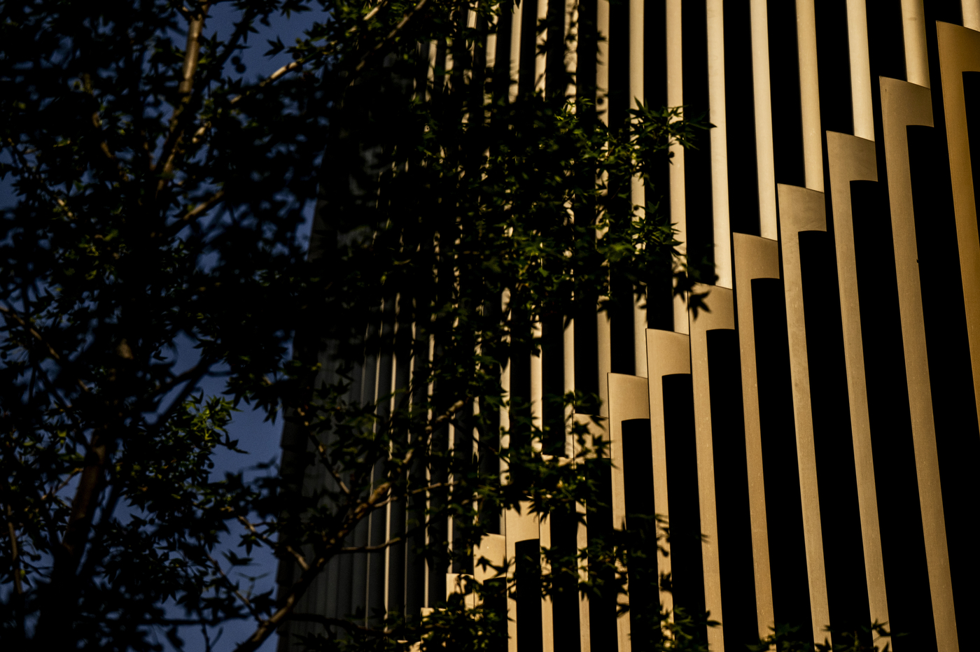 An exterior shot of the ISEC building during sunrise.