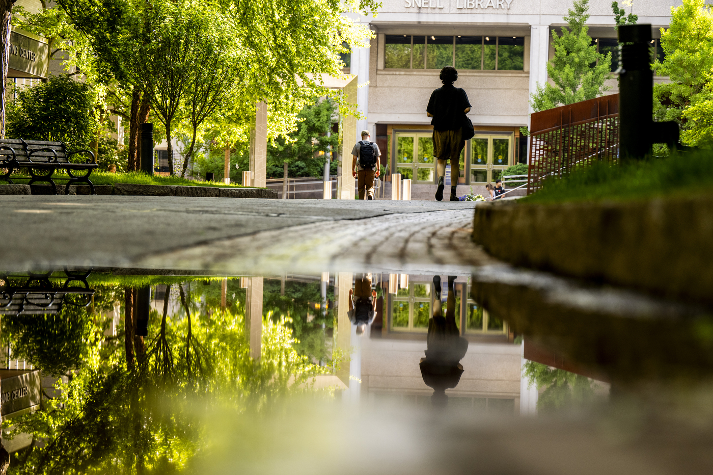 A student walks through campus reflected in a puddle.