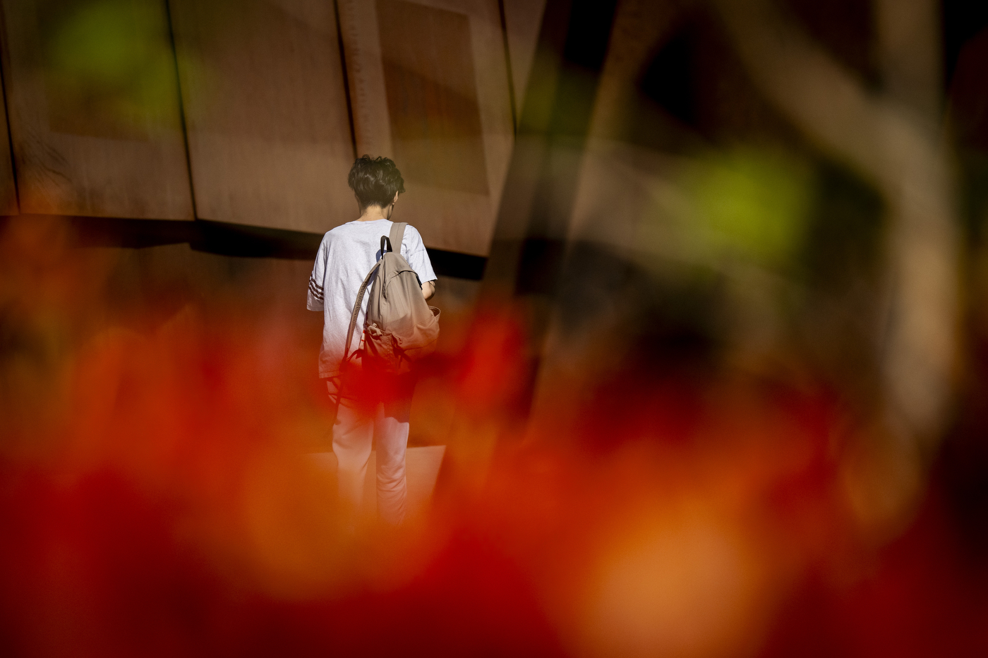 A person with a backpack walks across the pedestrian bridge, backing the camera.