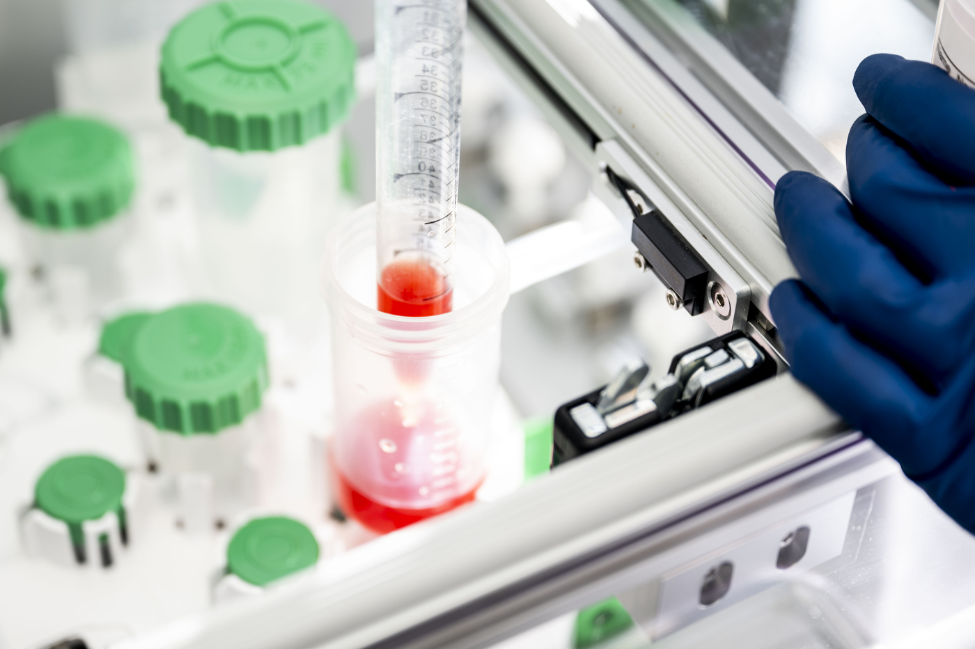 Vials with red liquid in a laboratory tray, handled by a gloved hand.