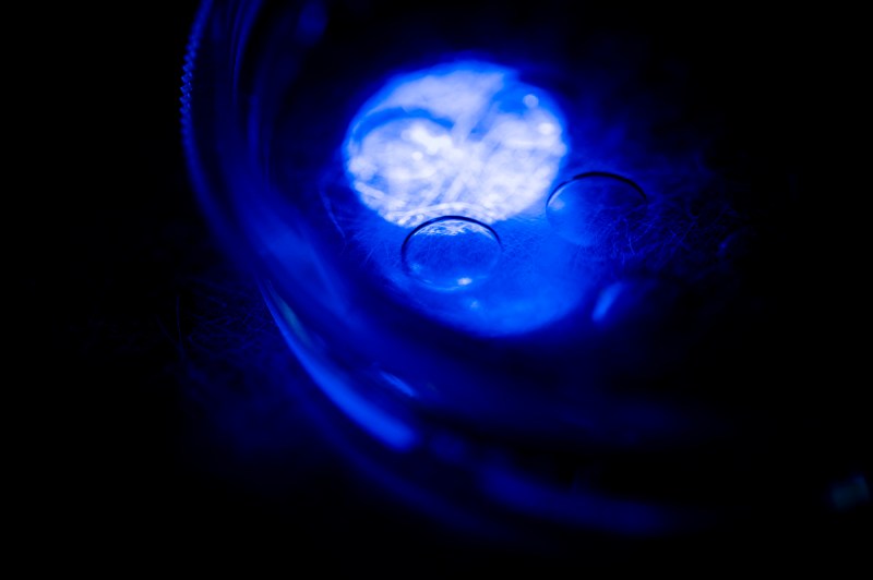 A close up of germs in a petri dish.