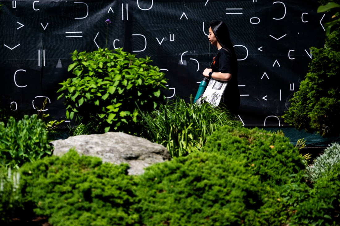 A person walks through greenery on campus.