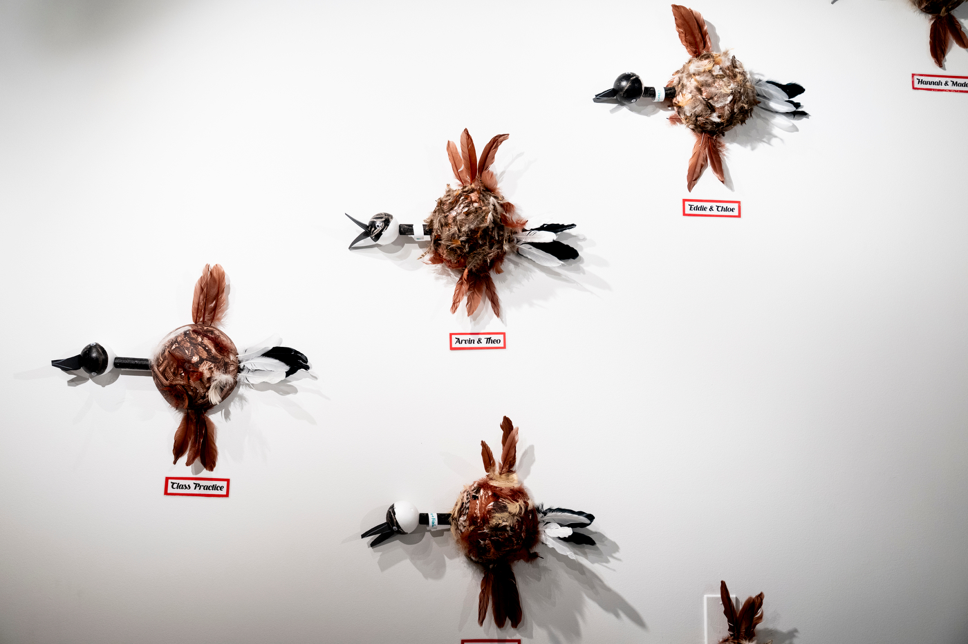 Several geese, hand-made with feathers and other materials, stick to the wall in an art exhibit.