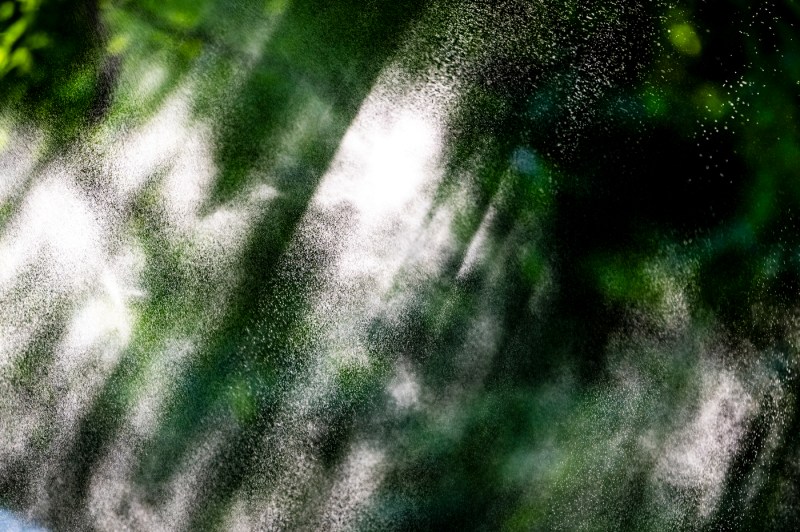 A burst of mist drifts through dark tree branches, illuminated by scattered light in the shaded canopy.