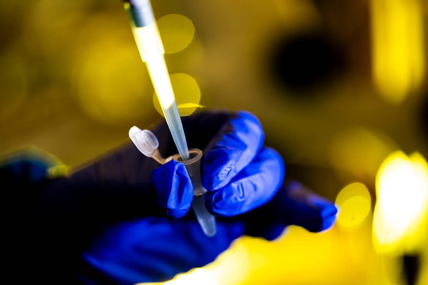 Photos: Scenes in the lab, the trees and the sky