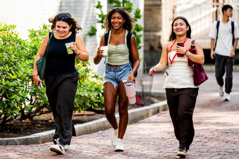Three students walk and chat together on a path lined with greenery on a sunny day.
