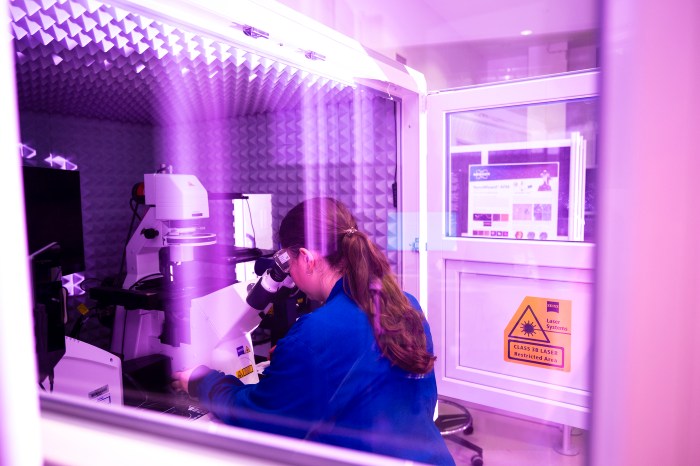 Ph.D. biology student Samantha Finkbeiner looks through a microscope inside a purple-lit enclosed lab station in the CILS lab in ISEC at Northeastern's Boston campus.