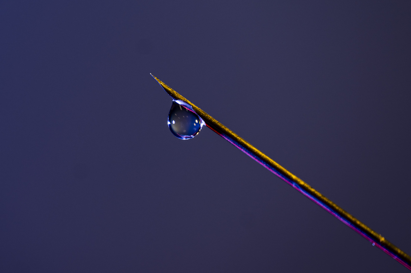 Close-up of a single droplet suspended on the tip of a thin needle against a dark purple background.
