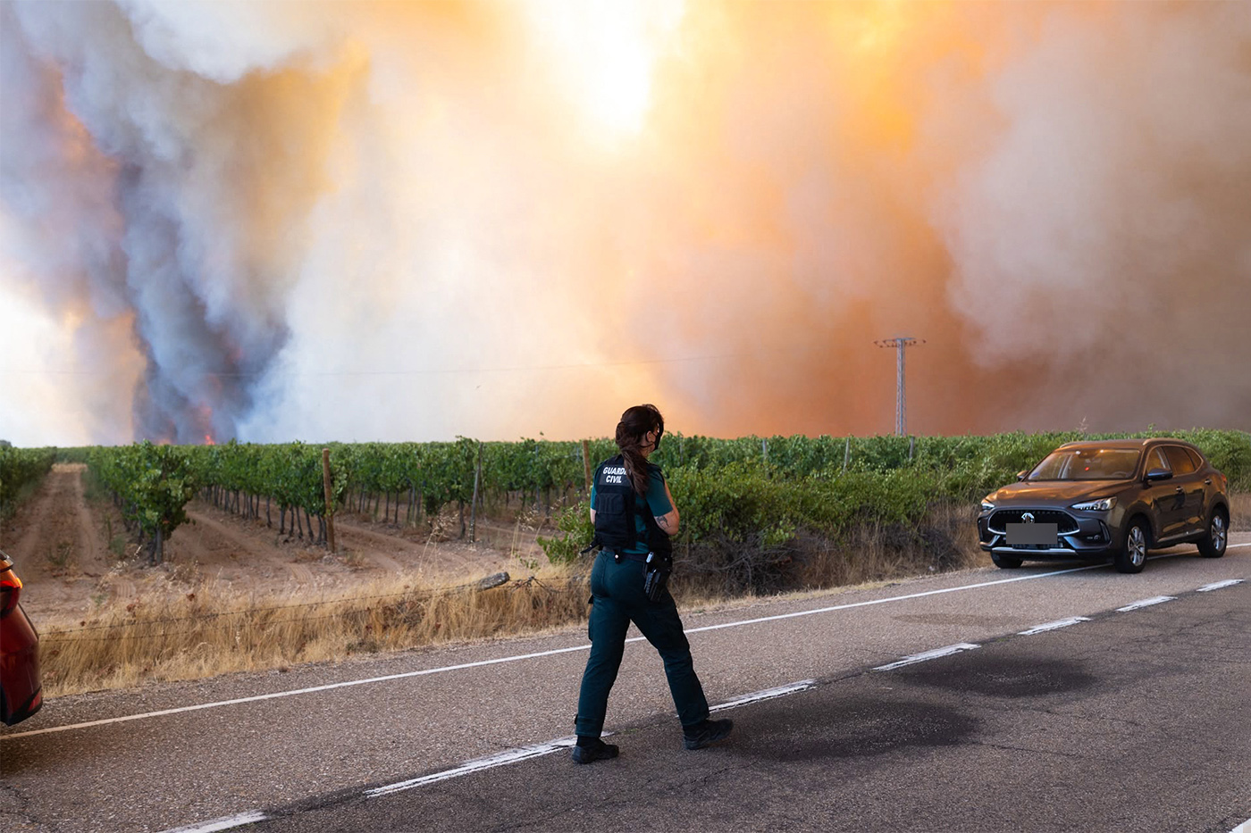 What is ‘smoke taint'? How wildfires may affect your favorite wine