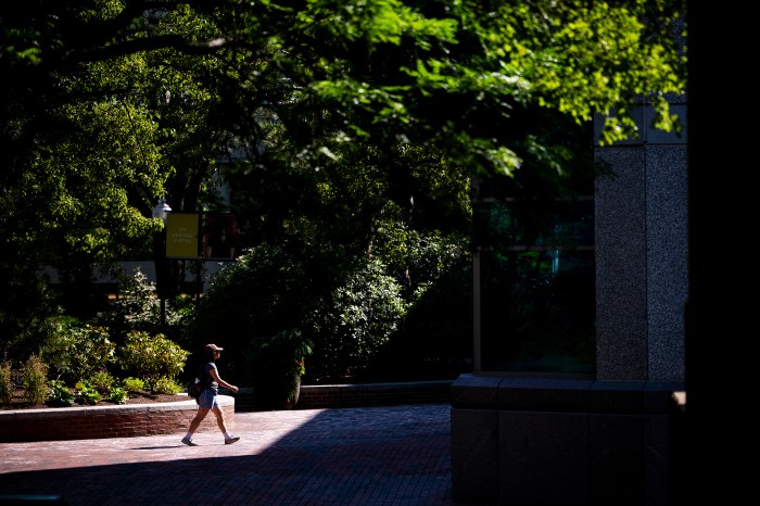 A person walks along a sunlit brick path shaded by trees.