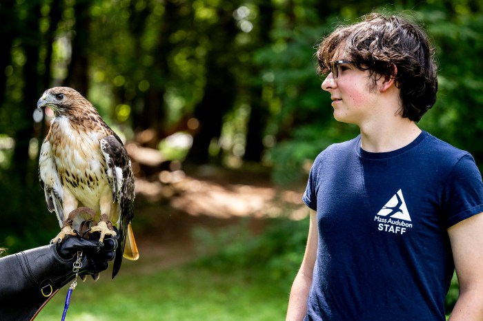 An environmental science student, stands outdoors with an owl on a perch.