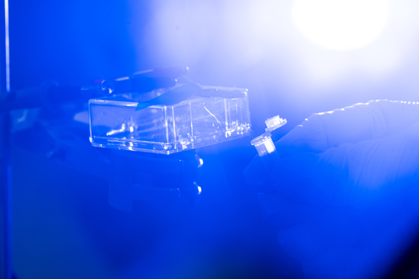 A gloved hand holds a small sensor device inside a laboratory testing enclosure.