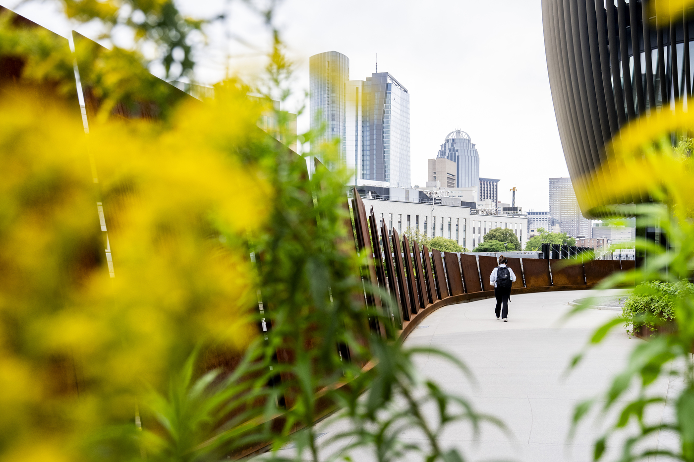 Student walks along a curved path toward the ISEC building, framed by yellow flowers with the Boston skyline in the background.