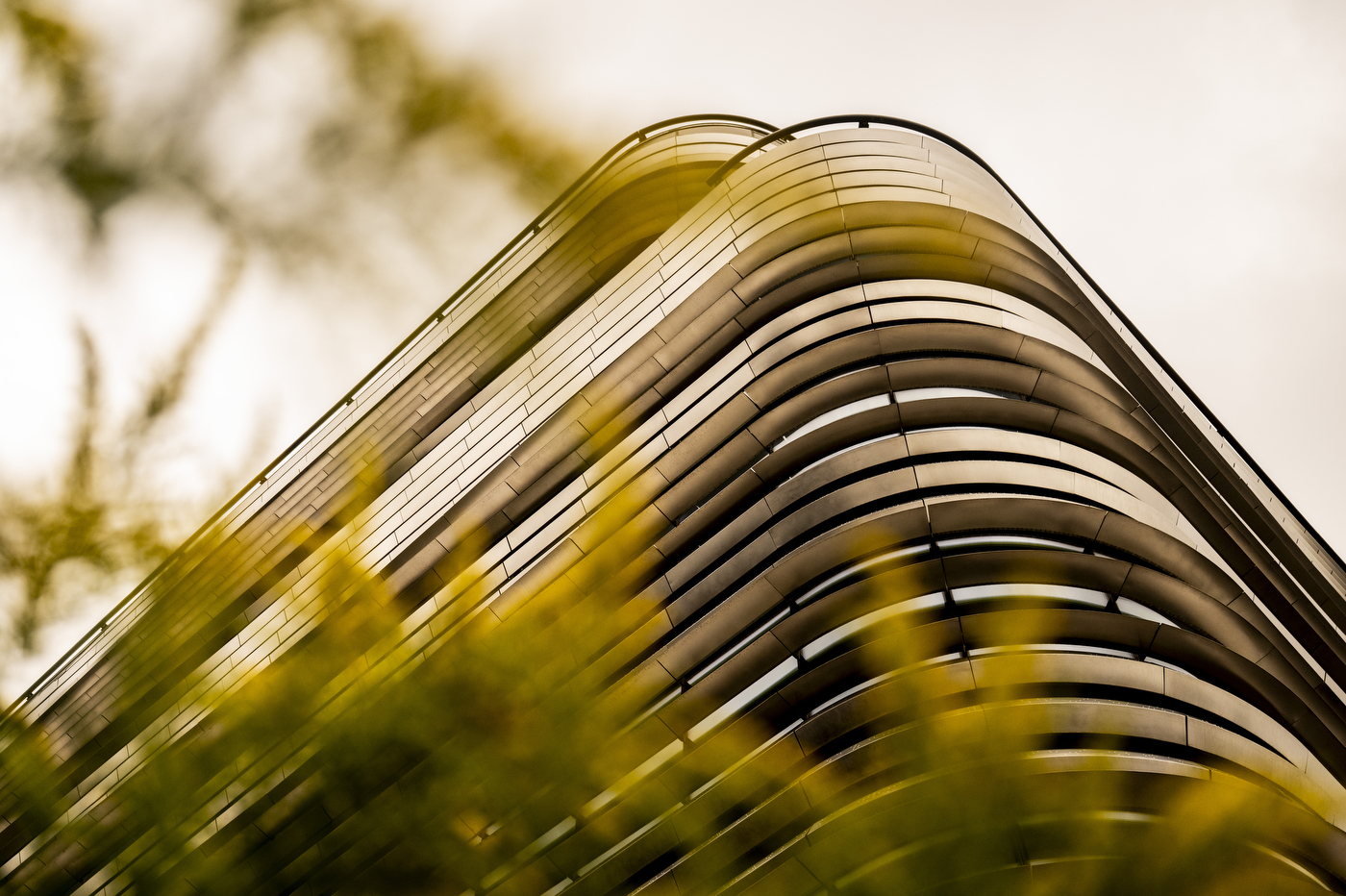 The curved exterior of the EXP building, framed by tree branches.