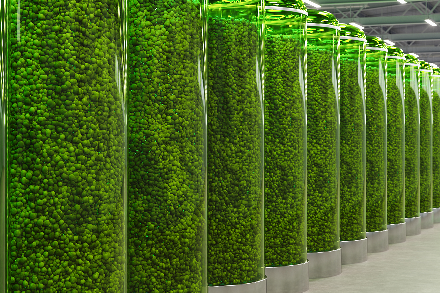 Scientists put algae to work making fuel. AI keeps watch.