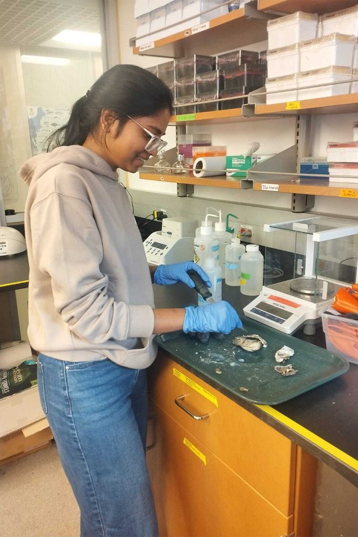 Megha Prasad, wearing blue gloves, works with oyster shells on a lab tray at a bench lined with lab equipment.